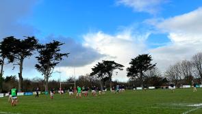 Bideford Chiefs suffer battling loss in Penzance