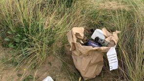 Expensive takeaway as Northam Burrows litterbug hit with £100 fine