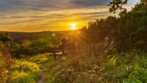 Opinion: The One Northern Devon initiative is important to bring things together