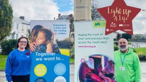 Light Up a Life this Christmas: Hospices join together to celebrate and remember loved ones 