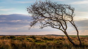 New document will help shape the future of northern Devon landscape