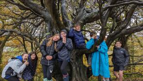 Even more North Devon students invited to join the Ocean Explorer Academy