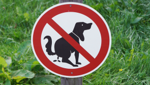 Council battling rising dog poo problem in North Devon parks