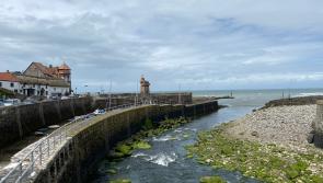 Lib Dems call for action to stop sewage being discharged into Devon’s waters