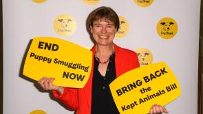North Devon MP launches bid to ban puppy smuggling 