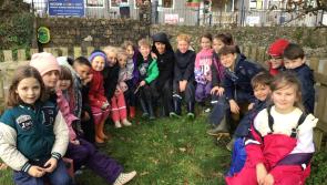 Instow pupils do their bit for songbirds this winter