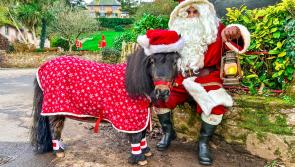 Up-and-coming Winner Street brings the Christmas spirit to Paignton next weekend