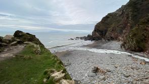 Volunteer outdoors in North Devon in 2024