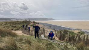 Get active and learn new skills as a conservation volunteer in Torridge