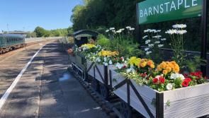 Major rail disruption as bridge damage forces closure between Barnstaple and Exeter