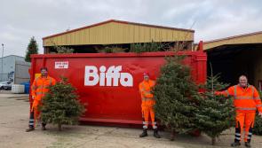 Hundreds of Christmas trees recycled across Devon for Children’s Hospice South West