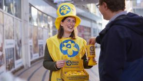 Marie Curie needs volunteers for Great Daffodil appeal
