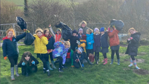 Pictures: Hundreds turn out for big Cleanse and Clean 
