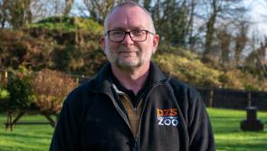 Dartmoor Zoo appoints new CEO