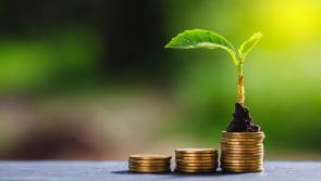 Economic green shoots or are the statistics wrong?