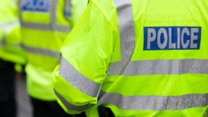 Suspect charged after dog is killed in Woolacombe burglary