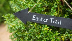  National Trust offers eggcellent Easter activities in North Devon
