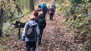 Pilgrims are you ready? Get roaming with North Devon Ramblers