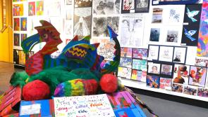 Double whammy of favourite exhibitions return to the Burton Art Gallery