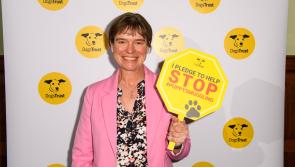 Next stage for MP’s Puppy and Kitten Smuggling Bill