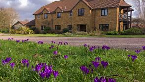 How it all began: Let’s build a children’s hospice! 