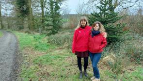 Walking for Wellies: Arlington Court to the Heddon Valley