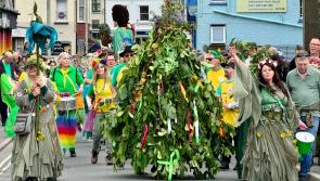 Pictures: May merriment at Ilfracombe’s 20th anniversary Jack-in-the-Green celebrations