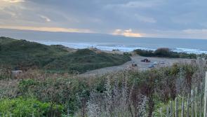North Devon Wind Farm: New environmental measures revealed
