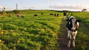 Council to host public meeting to address agricultural challenges
