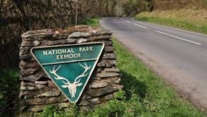 Mobile operator Three ‘carefully reviewing’ Exmoor mast plan rejection