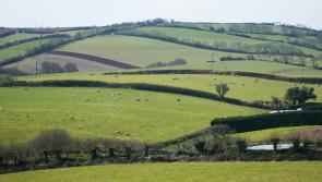 Rural England prosperity fund part two takes motion
