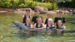 Childrens Holiday Foundation returns from Florida trip