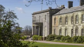 Volunteering sessions at Arlington Court as part of The Big Help Out
