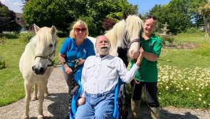 A visit from Spacer and Joker to Braunton care home