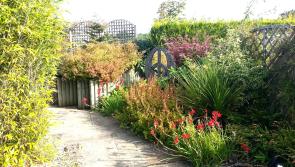 Children's Hospice South West: Specialised care for families in the South West