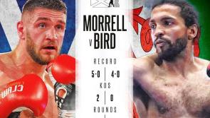Bird flying ahead of Celtic showdown