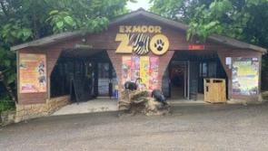  Exmoor Zoo celebrates TripAdvisor award 