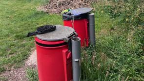 Northam resident calls for action over allotment site issues
