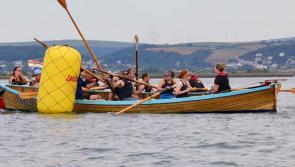 Torridge Pilot Gig Regatta a steamy success