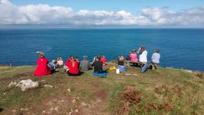 National Trust invites North Devon public to join sea life surveys