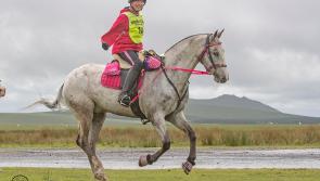 South Molton rider selected for England in home internationals