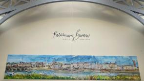 Barnstaple hosts new exhibition honouring local artist
