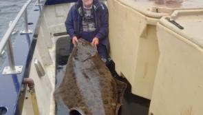 Torrington angler lands  giant 180lb halibut in British waters