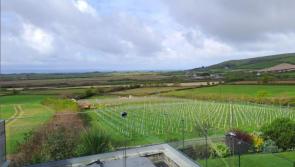 Licence granted to boutique wine producer hoping to expand business