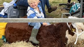 Weather set fair for tomorrow’s North Devon Show