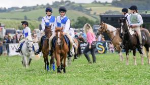 Pictures: North Devon Show beats weather hoodoo