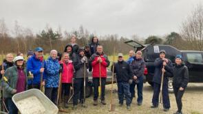 Rangers seek volunteers for crucial autumn conservation
