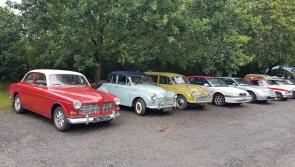 Big Sheep Car Show returns for 2024
