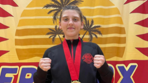 Excellent learning curve for Barum boxers