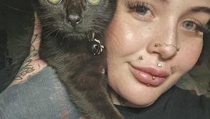 Tattoo studio hosts flash sale to support local cats








